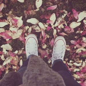 Meet your Posher, Elsa